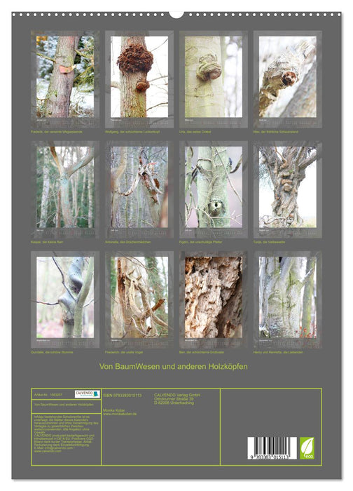 About tree creatures and other wooden heads (CALVENDO Premium Wall Calendar 2024) 