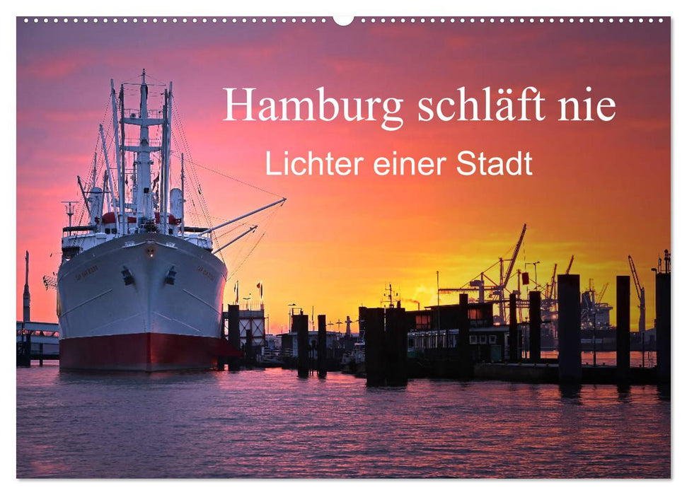 Hamburg schläft nie (CALVENDO Wandkalender 2024)