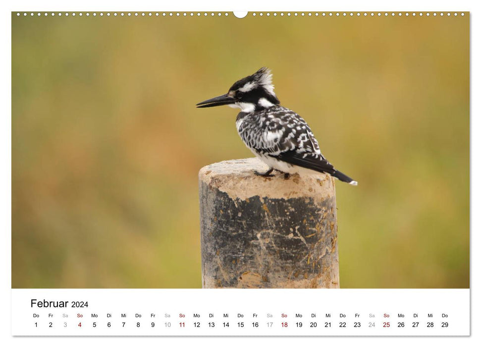 Kenias erstaunliche Tierwelt (CALVENDO Wandkalender 2024)