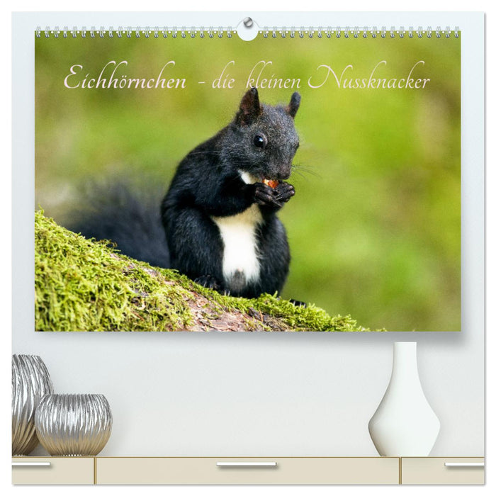 Squirrels - the little nutcrackers (CALVENDO Premium Wall Calendar 2024) 