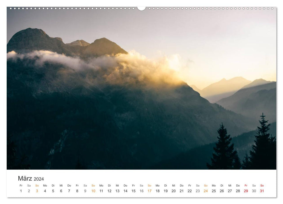 Fels und Stamm: Allgäu und Alpen (CALVENDO Wandkalender 2024)