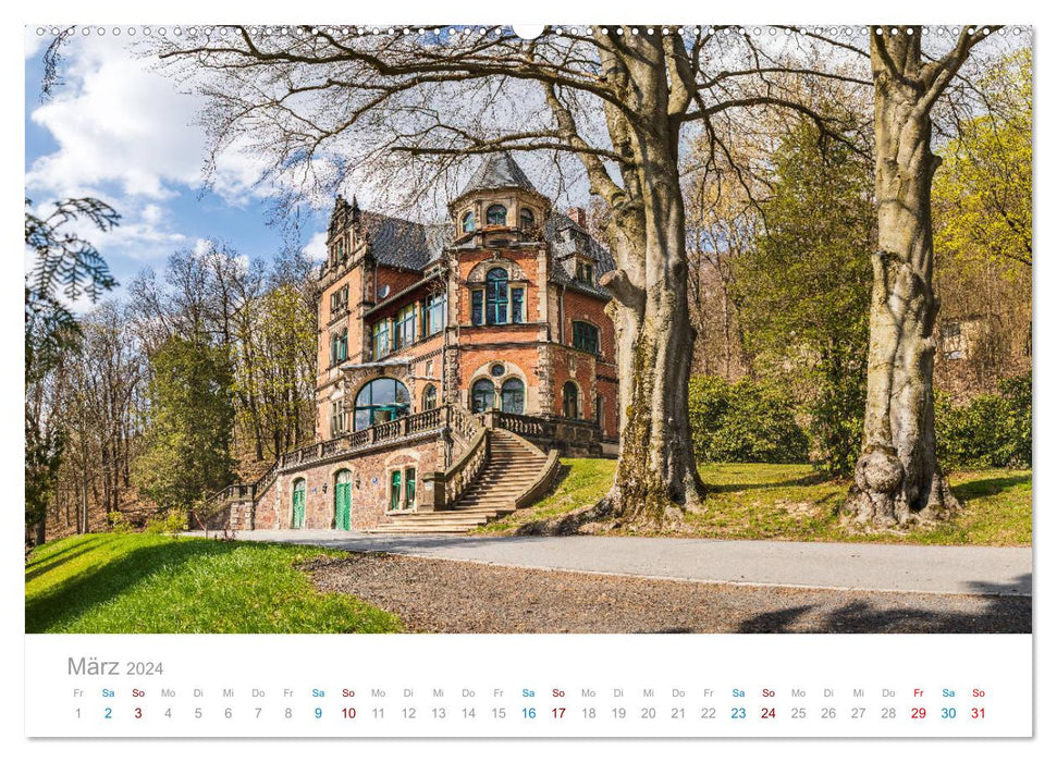 Sonneberg - toy town in the Thuringian Forest (CALVENDO Premium Wall Calendar 2024) 