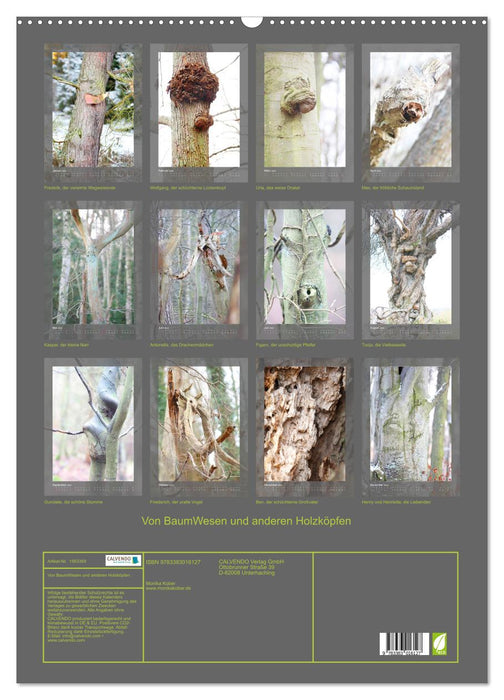 About tree creatures and other wooden heads (CALVENDO wall calendar 2024) 