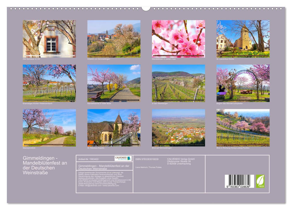 Gimmeldingen – Fête des fleurs d'amandier sur la route des vins allemande (Calvendo Premium Wall Calendar 2024) 