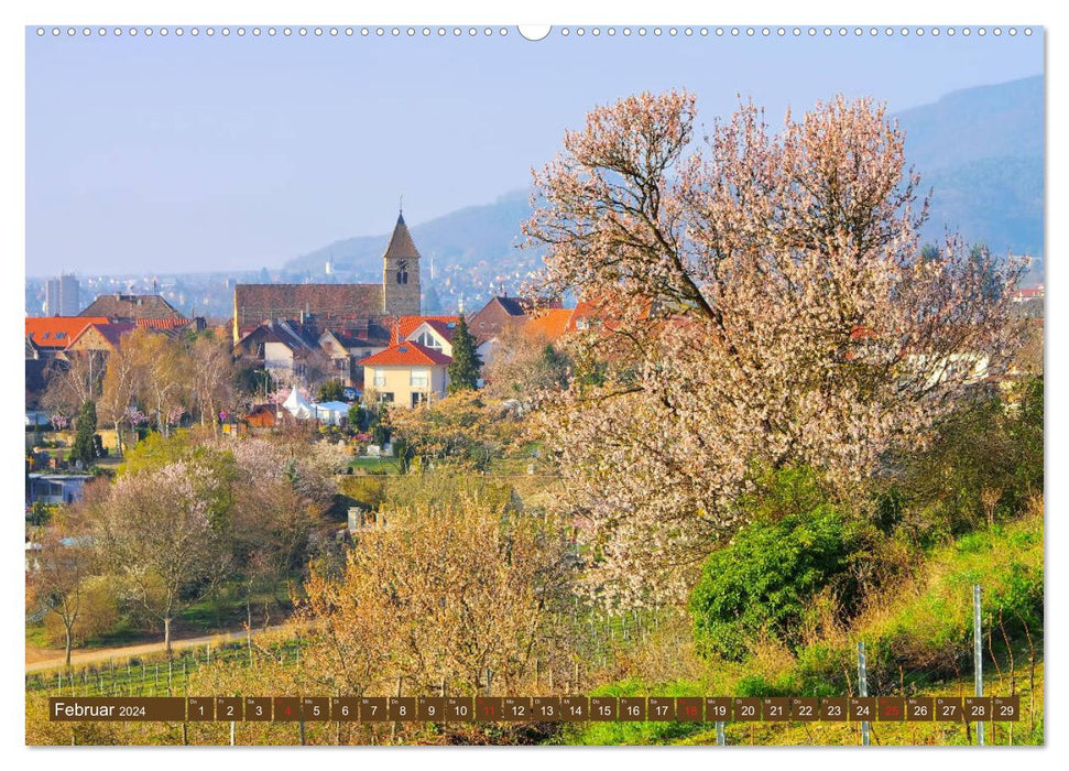 Gimmeldingen – Fête des fleurs d'amandier sur la route des vins allemande (Calvendo Premium Wall Calendar 2024) 