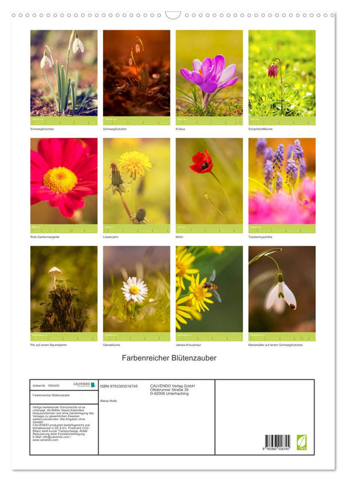 Farbenreicher Blütenzauber (CALVENDO Wandkalender 2024)