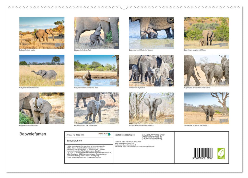 Babyelefanten (CALVENDO Premium Wandkalender 2024)