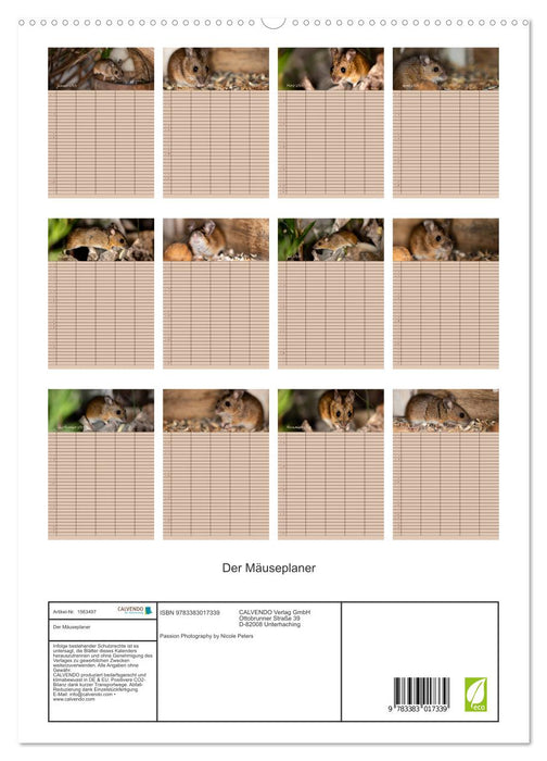 Der Mäuseplaner (CALVENDO Premium Wandkalender 2024)
