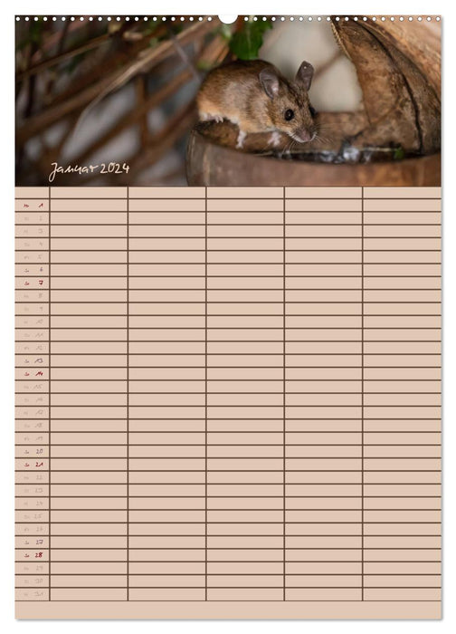 Le planificateur de souris (Calendrier mural CALVENDO Premium 2024) 