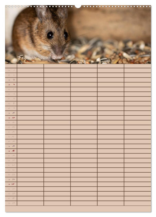 Le planificateur de souris (Calendrier mural CALVENDO Premium 2024) 
