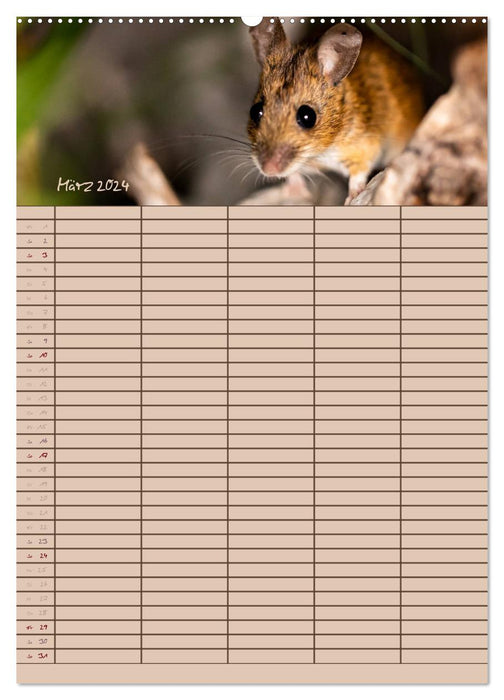 Le planificateur de souris (Calendrier mural CALVENDO Premium 2024) 