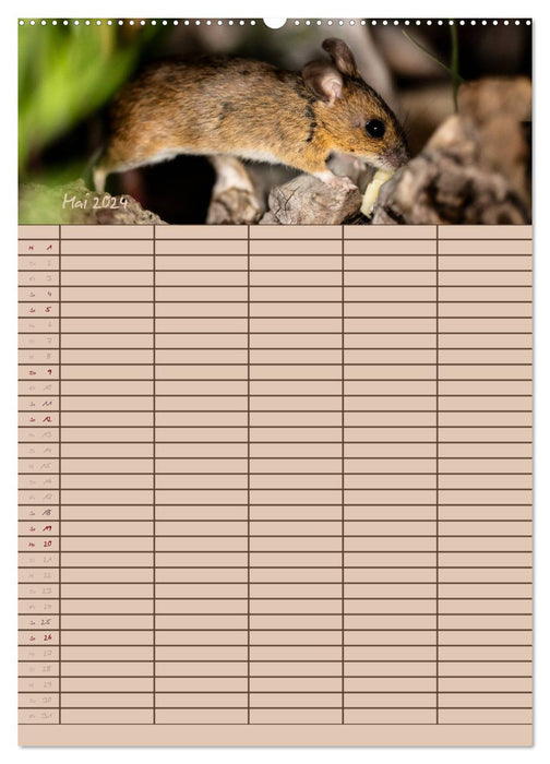 Le planificateur de souris (Calendrier mural CALVENDO Premium 2024) 