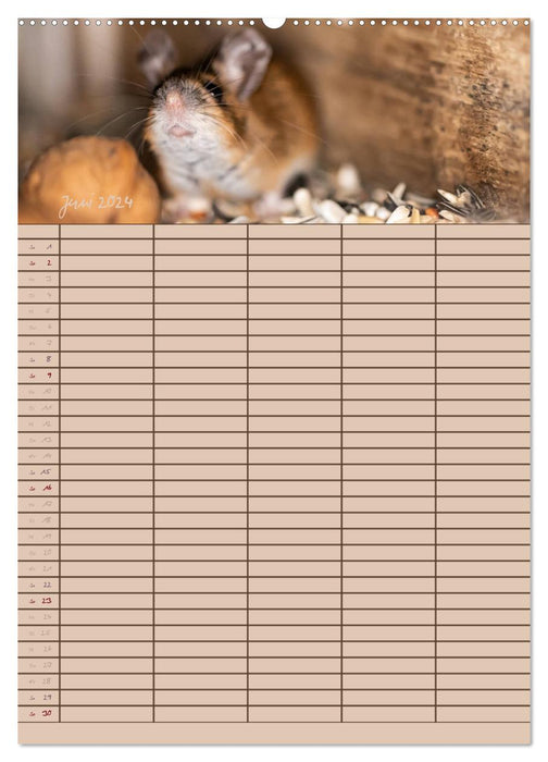 Le planificateur de souris (Calendrier mural CALVENDO Premium 2024) 