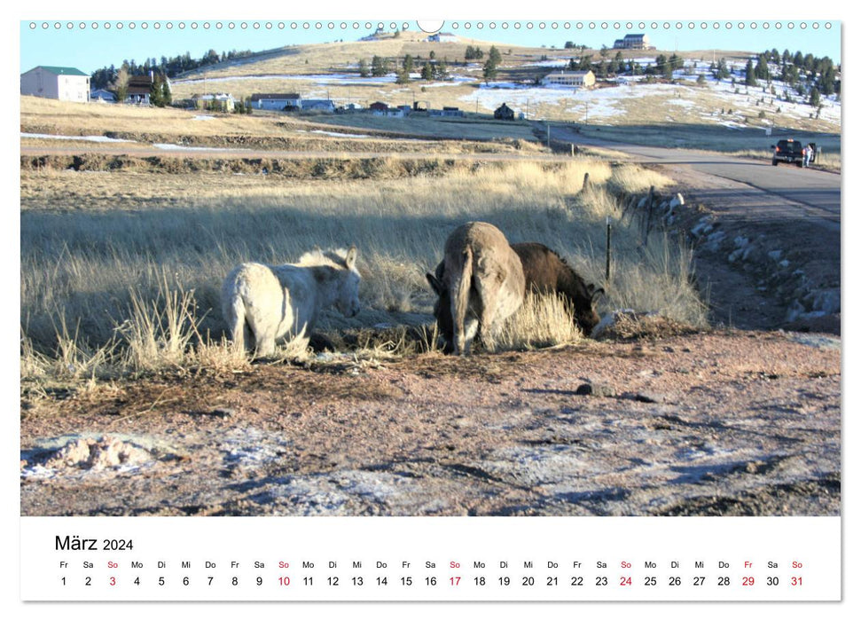 Colorado, USA - Ausflugsziele rund um Colorado Springs (CALVENDO Premium Wandkalender 2024)
