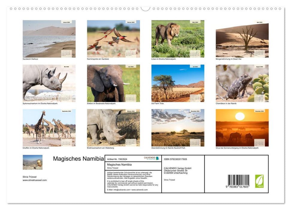 Magisches Namibia - Tiere und Landschaften (CALVENDO Premium Wandkalender 2024)
