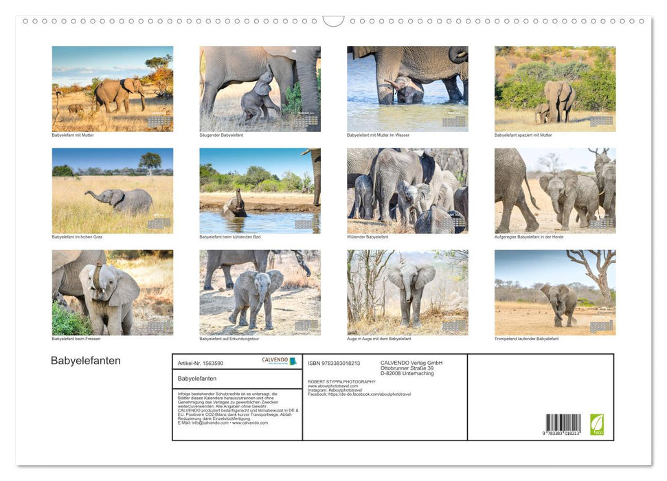 Baby elephants (CALVENDO wall calendar 2024) 