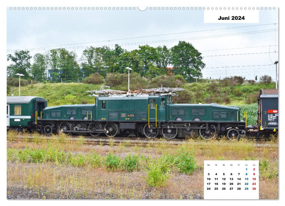 Raritäten der Schiene (CALVENDO Wandkalender 2024)