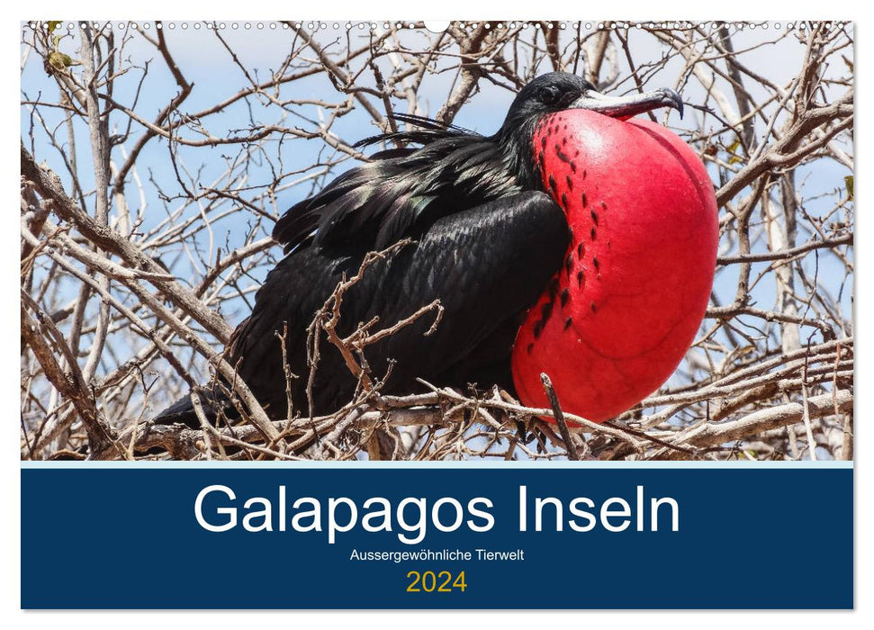 Tierwelt auf Galapagos (CALVENDO Wandkalender 2024)