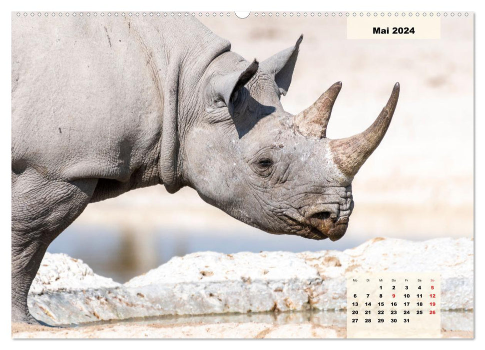 Magisches Namibia - Tiere und Landschaften (CALVENDO Wandkalender 2024)