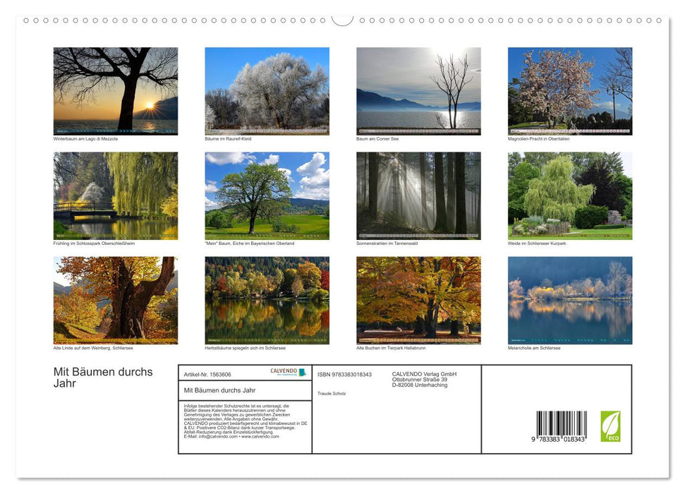 Mit Bäumen durchs Jahr (CALVENDO Premium Wandkalender 2024)