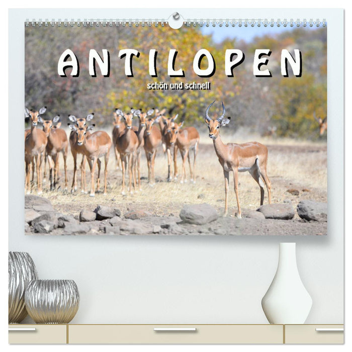 Antilopen, schön und schnell (CALVENDO Premium Wandkalender 2024)
