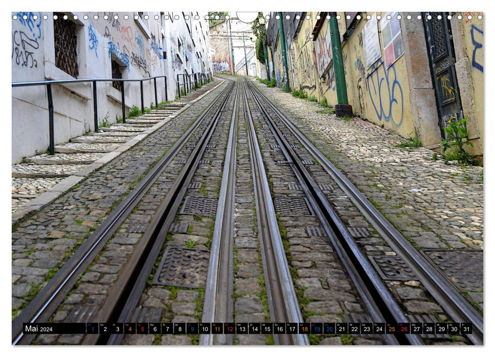 Lissabon aus einer ganz anderen Sicht. (CALVENDO Wandkalender 2024)