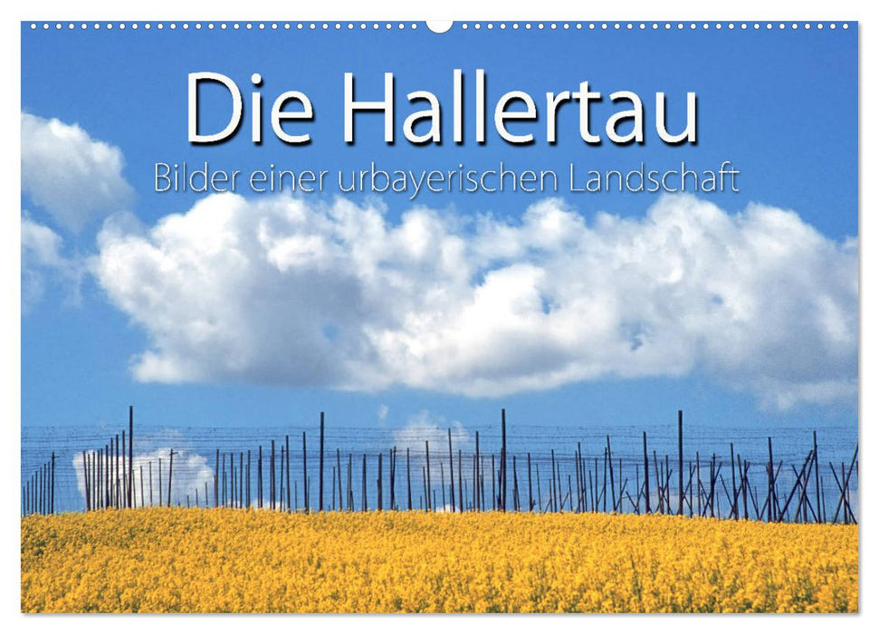 Hallertau (CALVENDO Wandkalender 2024)