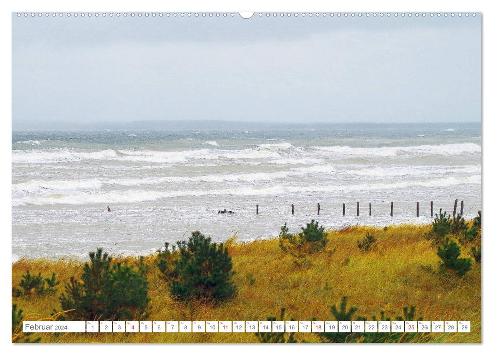 Rügen pendant une tempête - Images fascinantes des forces élémentaires (calendrier mural CALVENDO 2024) 