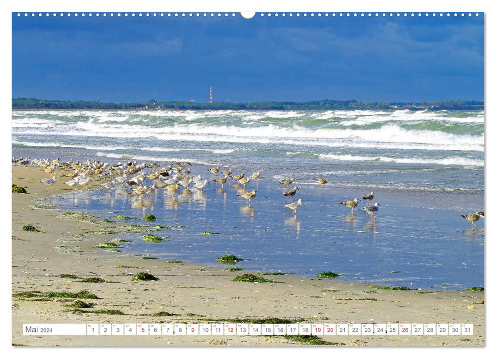 Rügen pendant une tempête - Images fascinantes des forces élémentaires (calendrier mural CALVENDO 2024) 