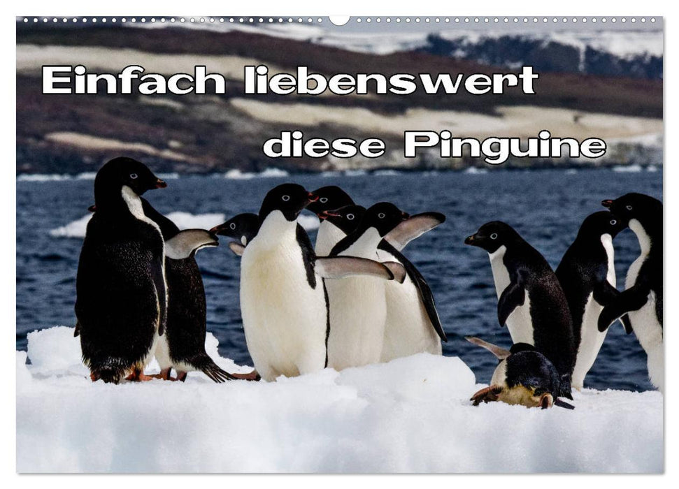 Einfach liebenswert diese Pinguine (CALVENDO Wandkalender 2024)