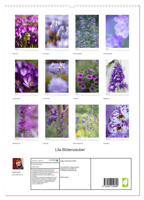 Magie des fleurs violettes (Calendrier mural CALVENDO Premium 2024) 