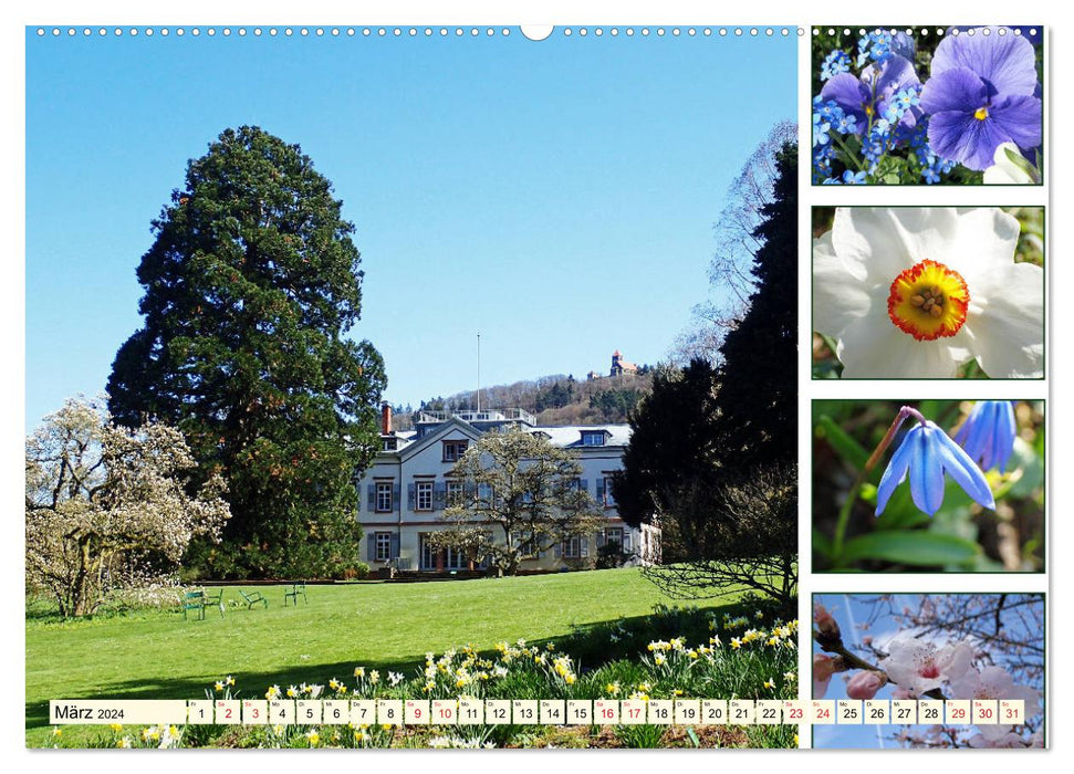 À Hermannshof - Un jardin de rêve à Weinheim (Calendrier mural CALVENDO 2024) 