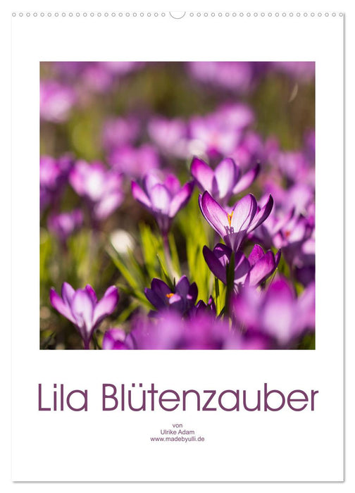 Lila Blütenzauber (CALVENDO Wandkalender 2024)
