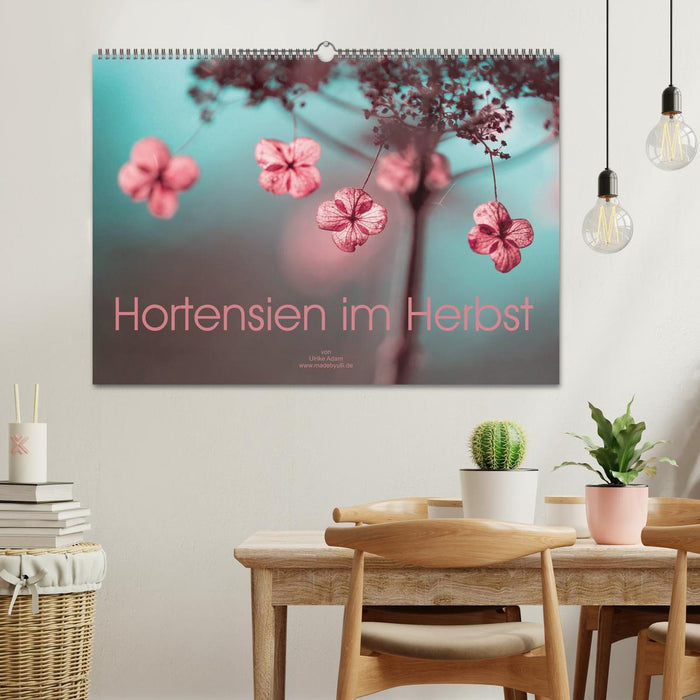 Hortensias en automne (calendrier mural CALVENDO 2024) 