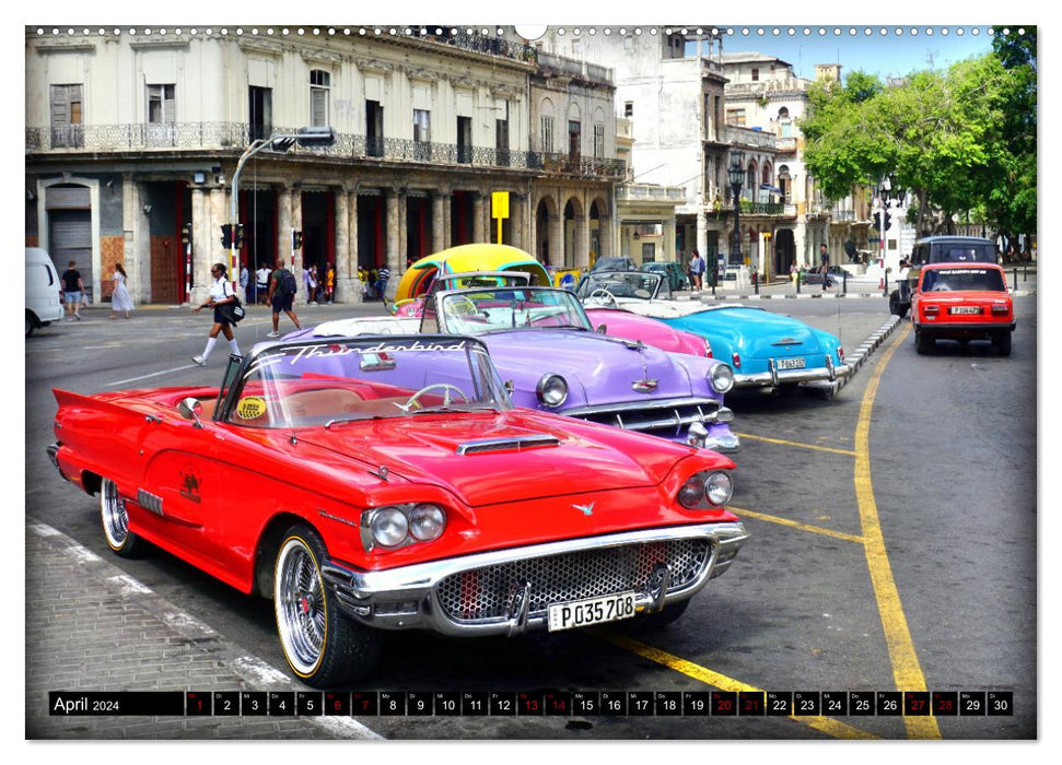 Best of Thunderbird - Ein Star unter Havannas Oldtimern (CALVENDO Premium Wandkalender 2024)