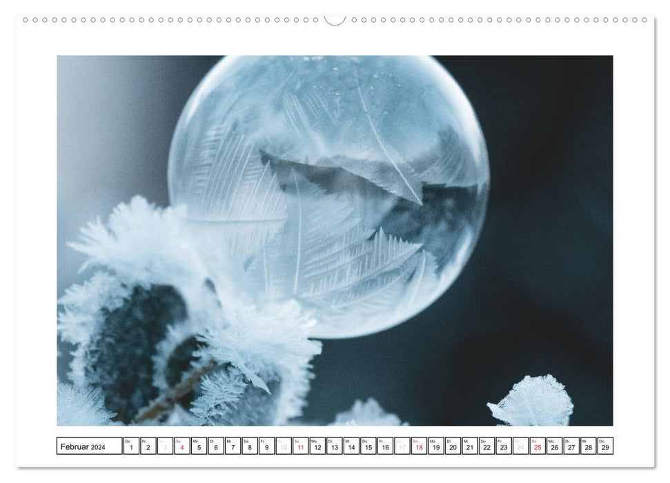 Kunst aus Eis und Seife (CALVENDO Premium Wandkalender 2024)