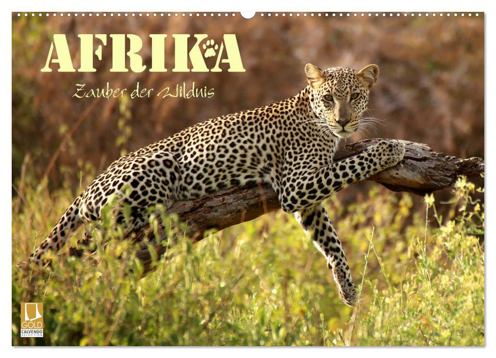 Afrika - Zauber der Wildnis (CALVENDO Wandkalender 2024)