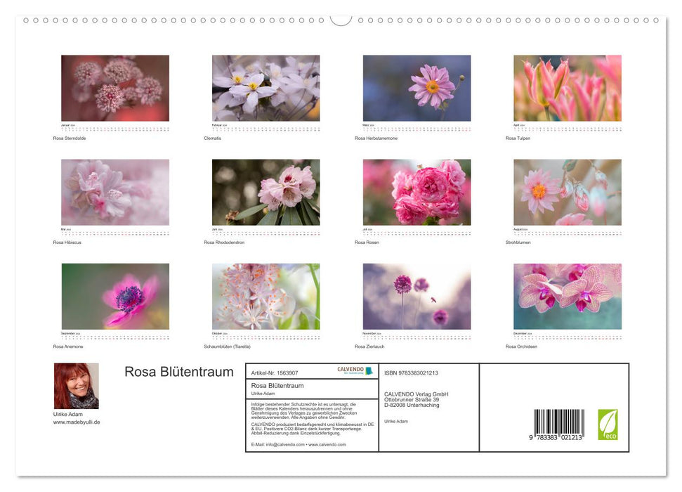 Rosa Blütentraum (CALVENDO Premium Wandkalender 2024)