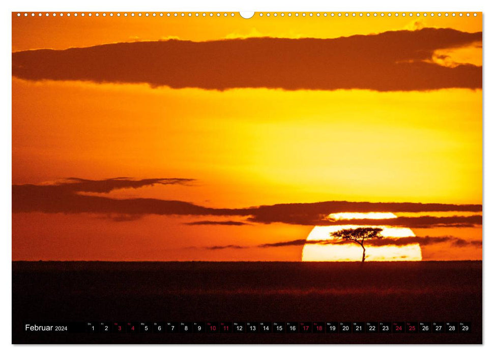 Safari Afrika (CALVENDO Premium Wandkalender 2024)