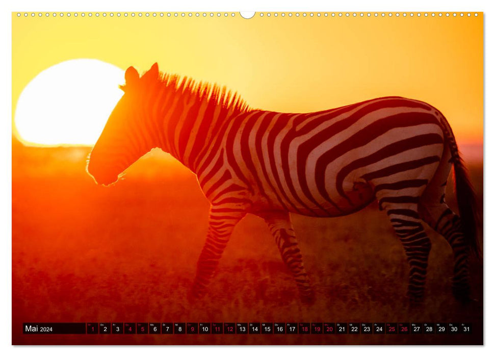 Safari Afrique (Calvendo Premium Calendrier mural 2024) 