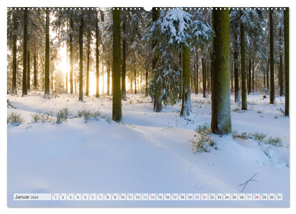Le Harz - pittoresque chaîne de montagnes basses (Calvendo Premium Wall Calendar 2024) 