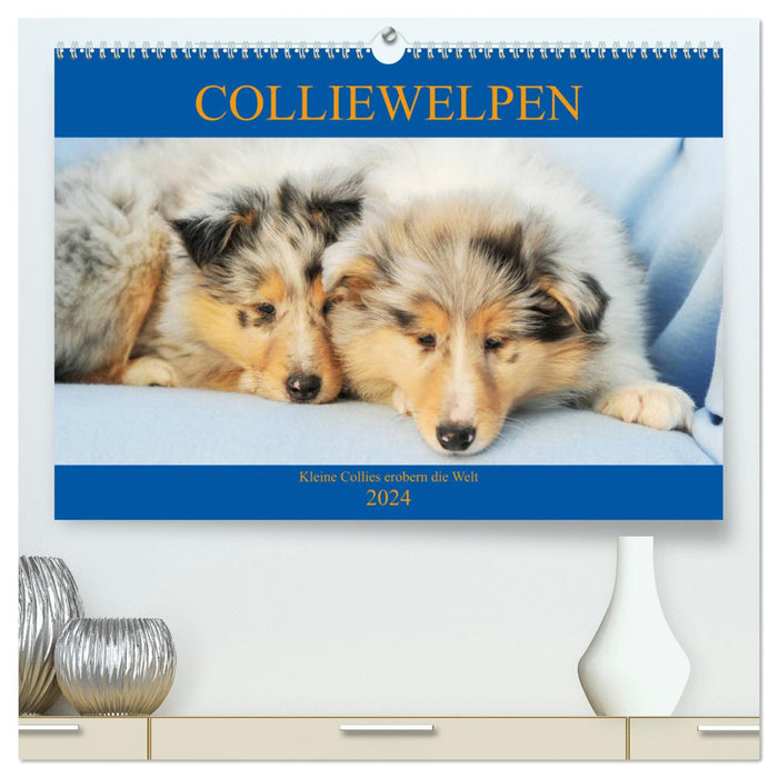 Colliewelpen - kleine Collies erobern die Welt (CALVENDO Premium Wandkalender 2024)