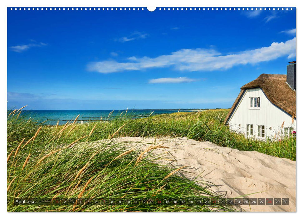 Belle mer Baltique - impressions tout au long de l'année (calendrier mural CALVENDO 2024) 