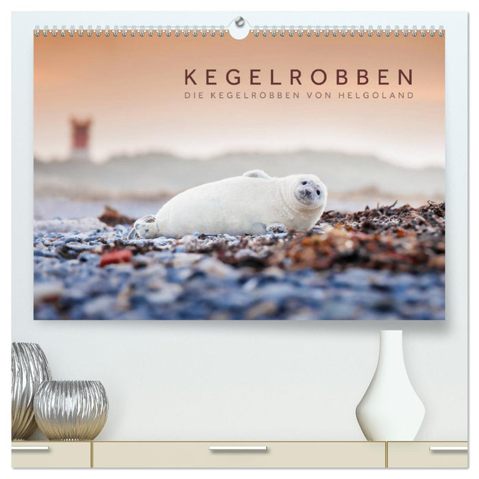 Kegelrobben - Die Kegelrobben von Helgoland (CALVENDO Premium Wandkalender 2024)