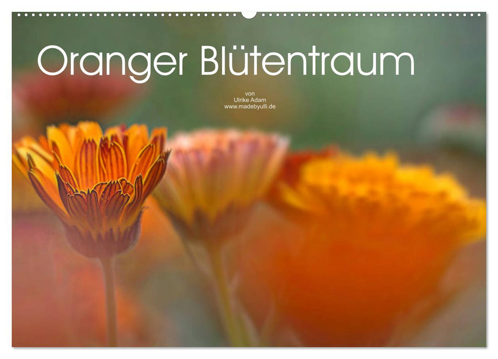 Orange blossom dream (CALVENDO wall calendar 2024) 