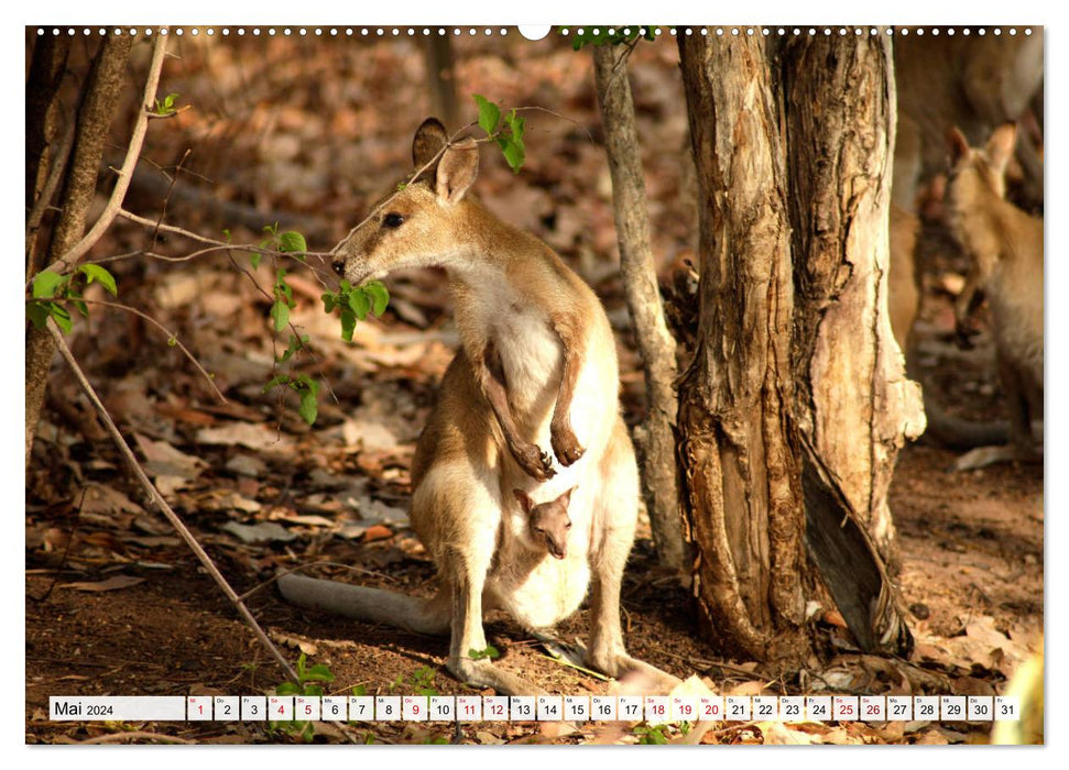 Australien - Northern Territory (CALVENDO Premium Wandkalender 2024)