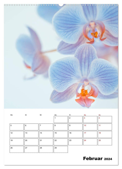 Blütentraum in Blau (CALVENDO Wandkalender 2024)