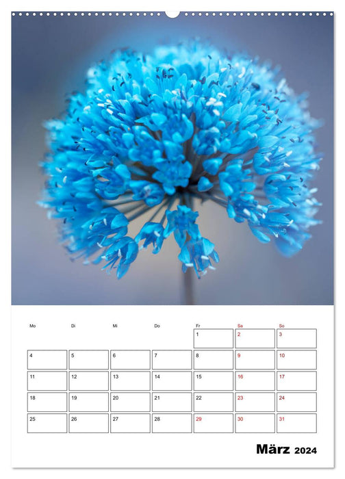 Blütentraum in Blau (CALVENDO Wandkalender 2024)