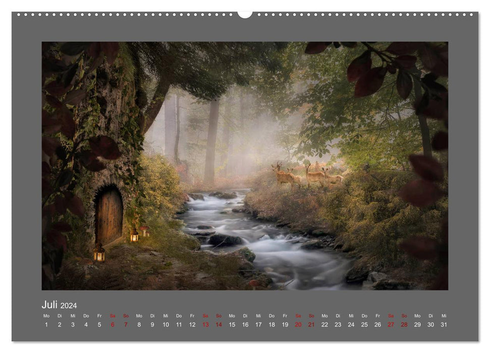 Forest Secrets (CALVENDO Premium Wall Calendar 2024) 