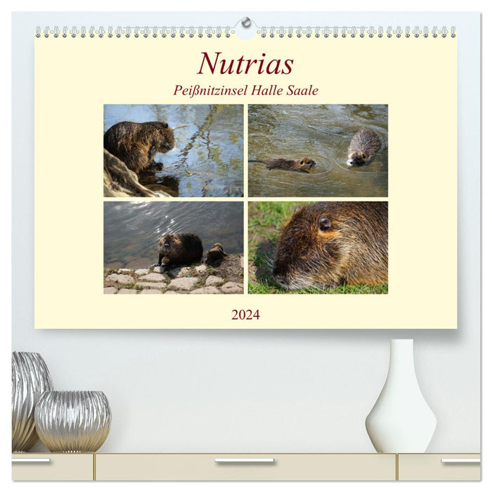 Nutrias Peißnitzinsel Halle Saale (CALVENDO Premium Wall Calendar 2024) 